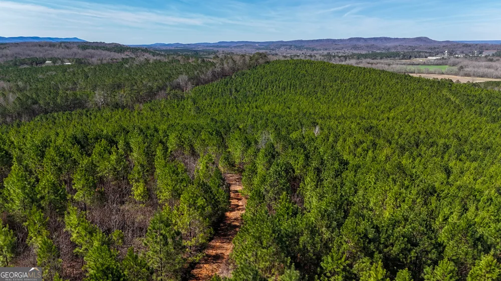 0 Highway 100 Summerville, GA 30747