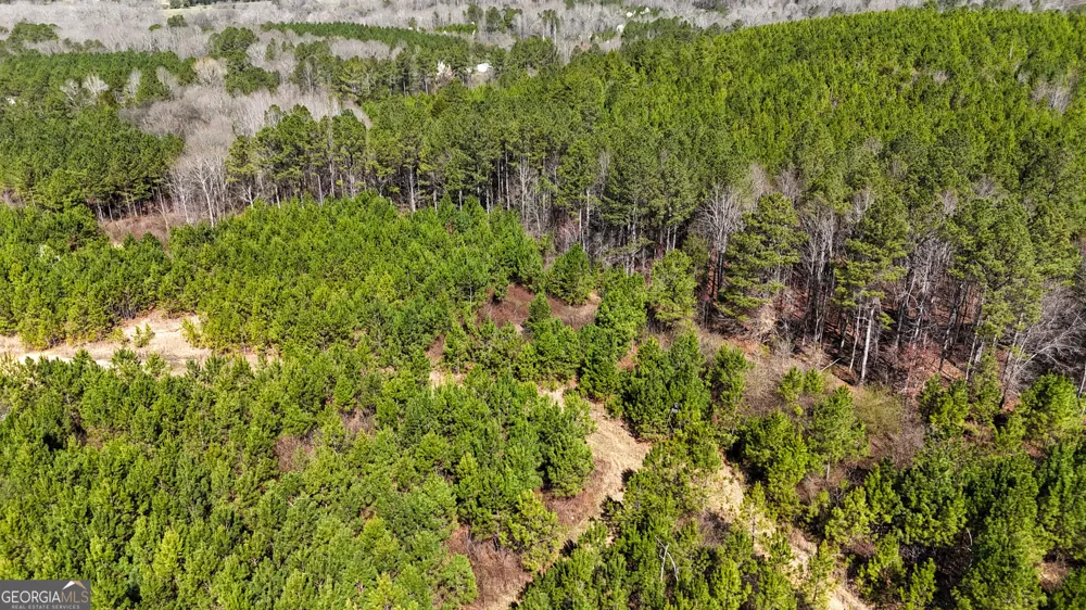 0 Highway 100 Summerville, GA 30747