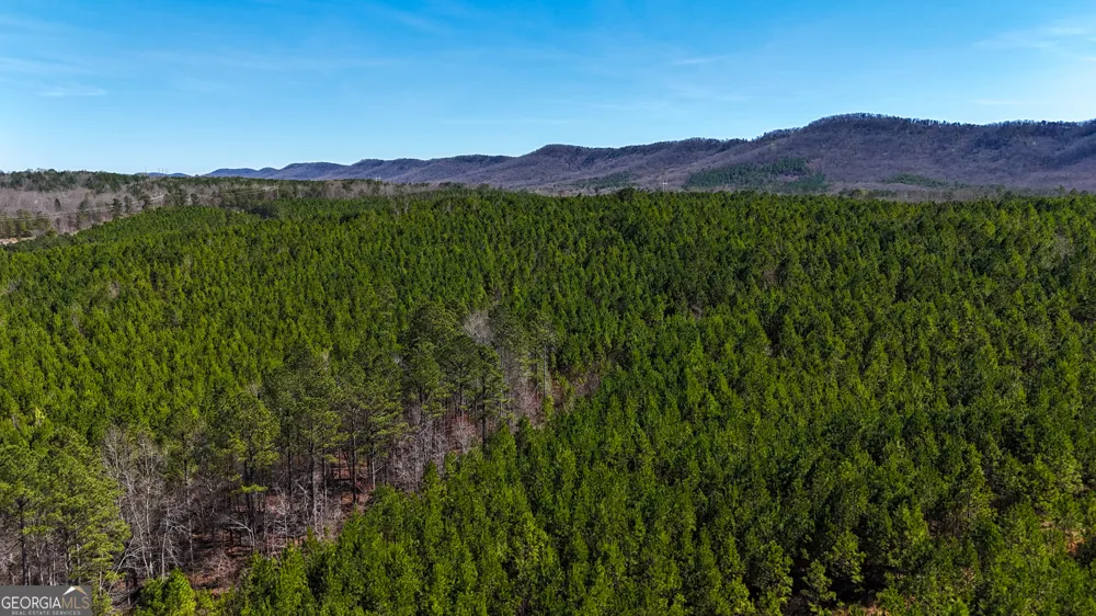 0 Highway 100 Summerville, GA 30747