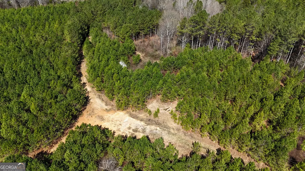 0 Highway 100 Summerville, GA 30747