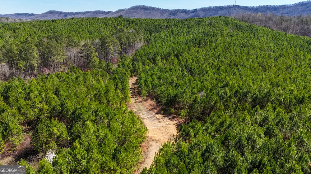 0 Highway 100 Summerville, GA 30747