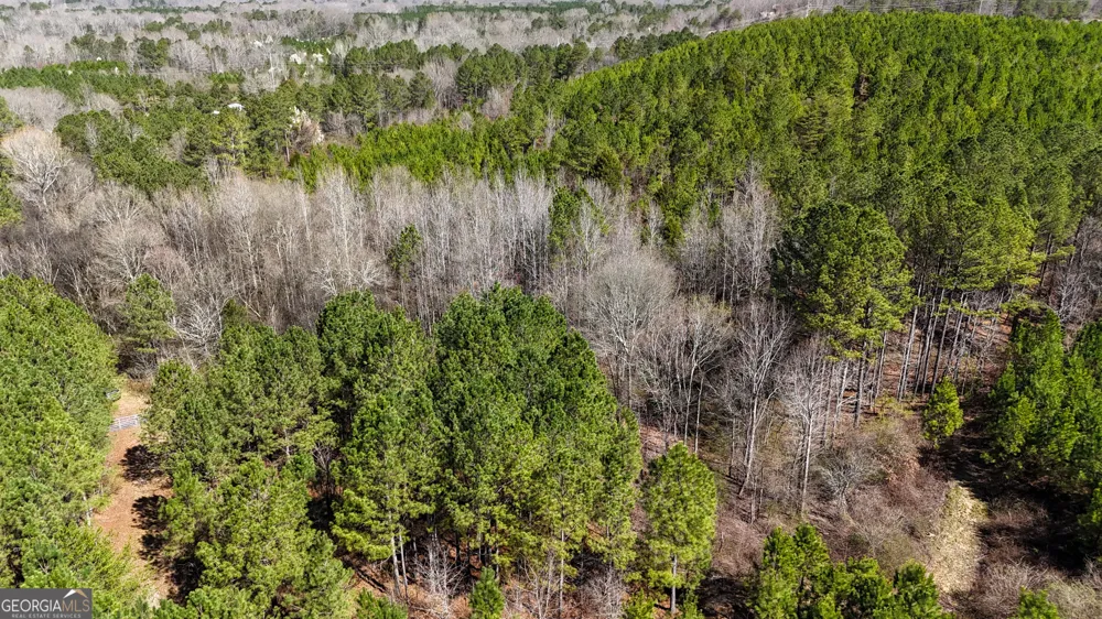 0 Highway 100 Summerville, GA 30747