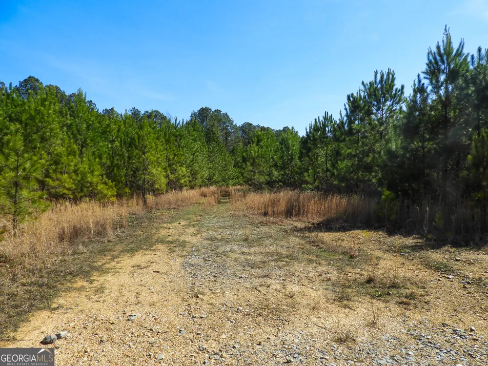 0 Highway 100 Summerville, GA 30747