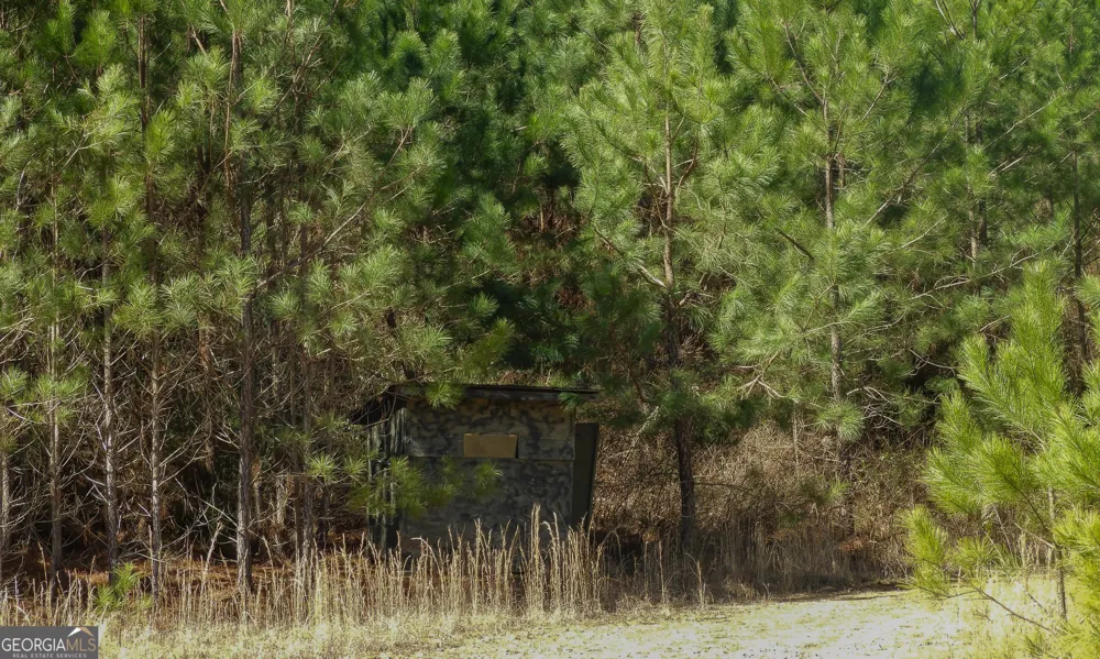 0 Highway 100 Summerville, GA 30747