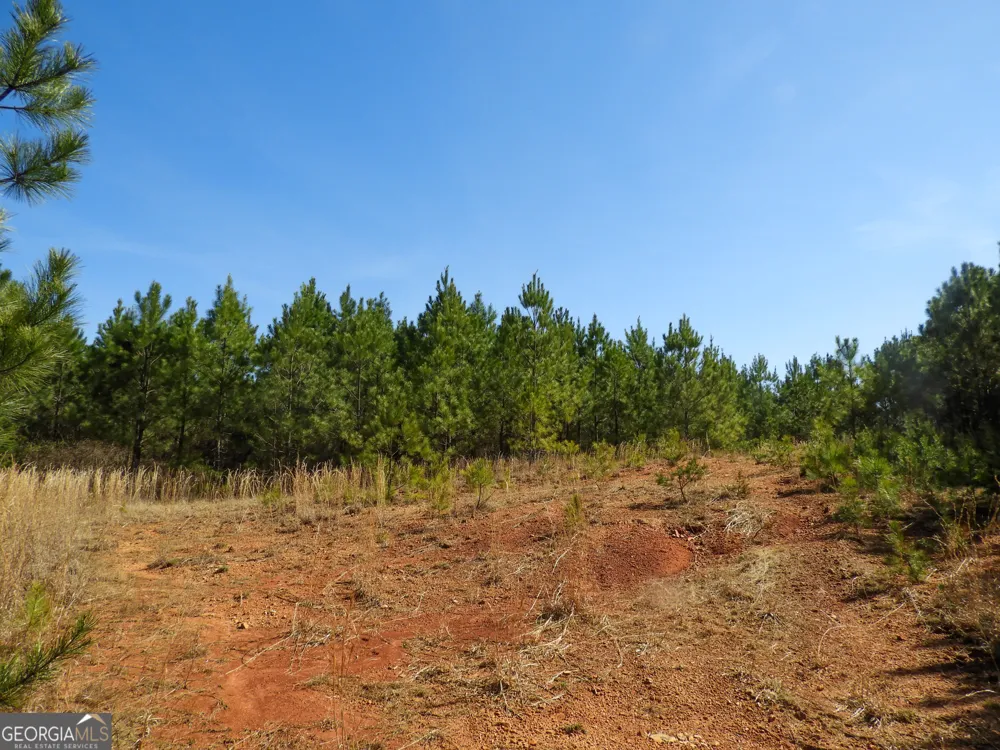 0 Highway 100 Summerville, GA 30747