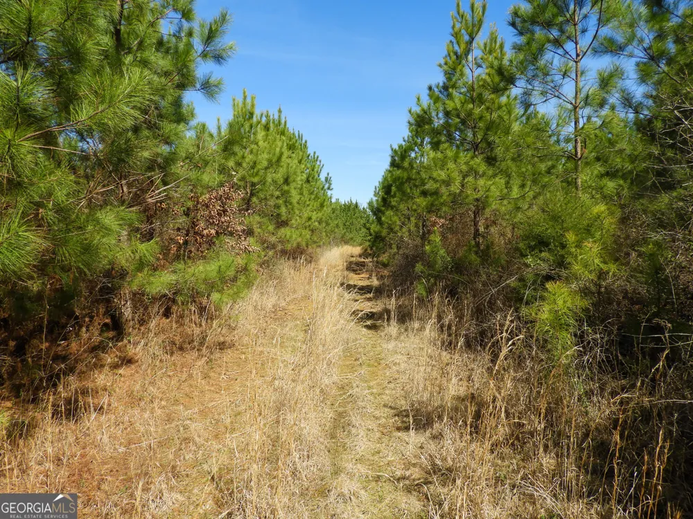 0 Highway 100 Summerville, GA 30747
