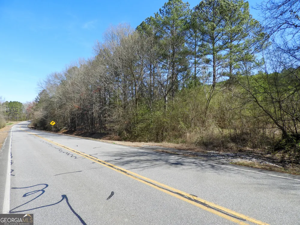 0 Highway 100 Summerville, GA 30747
