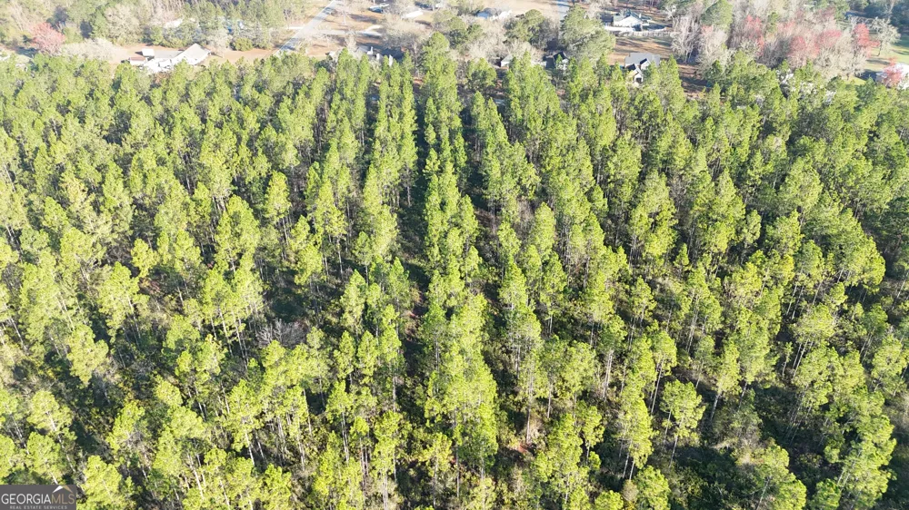 0 Robin LN Homeland, GA 31537
