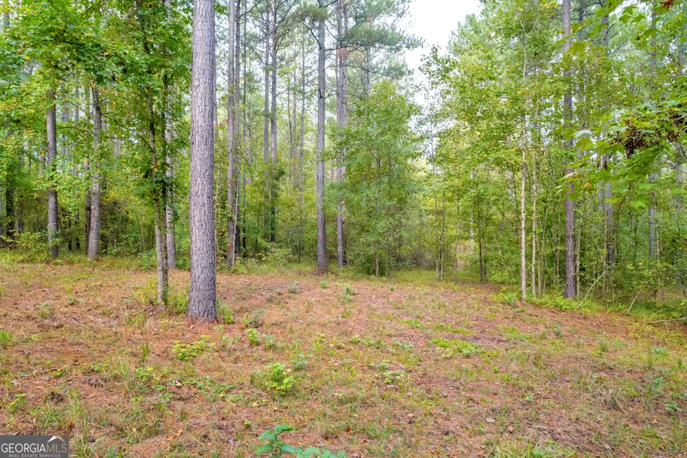 1130 Apalachee Meadows DR Madison, GA 30650
