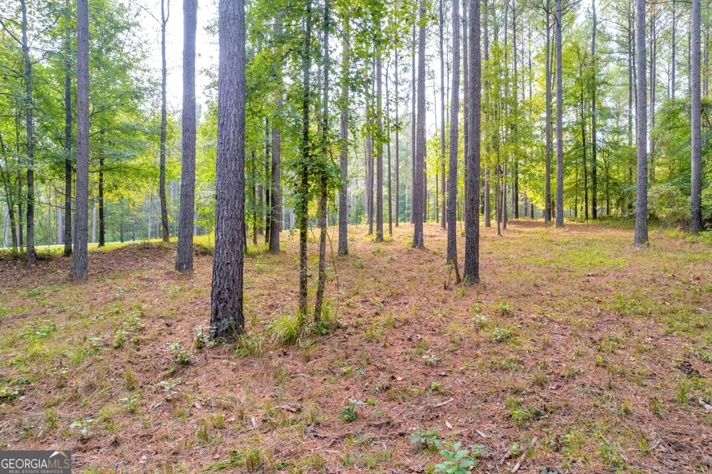1130 Apalachee Meadows DR Madison, GA 30650
