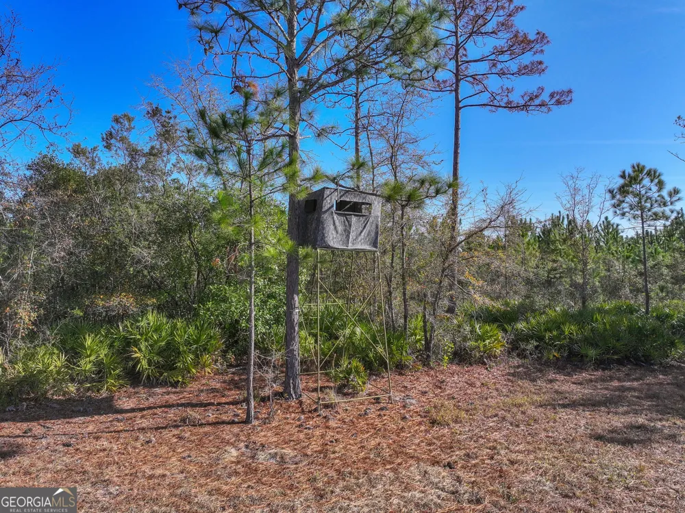 279 Mid River RD White Oak, GA 31568