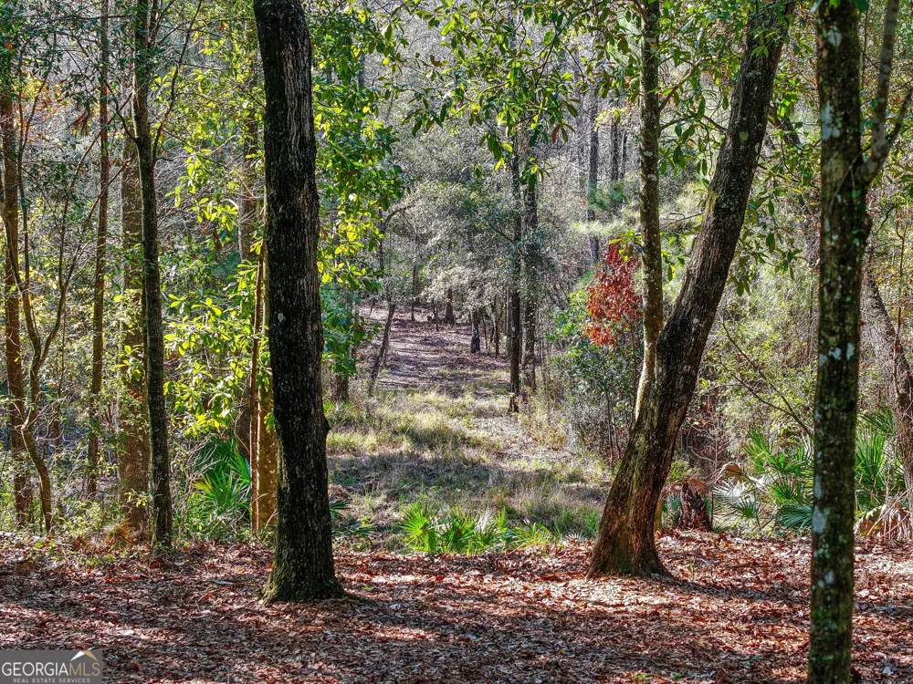 279 Mid River RD White Oak, GA 31568