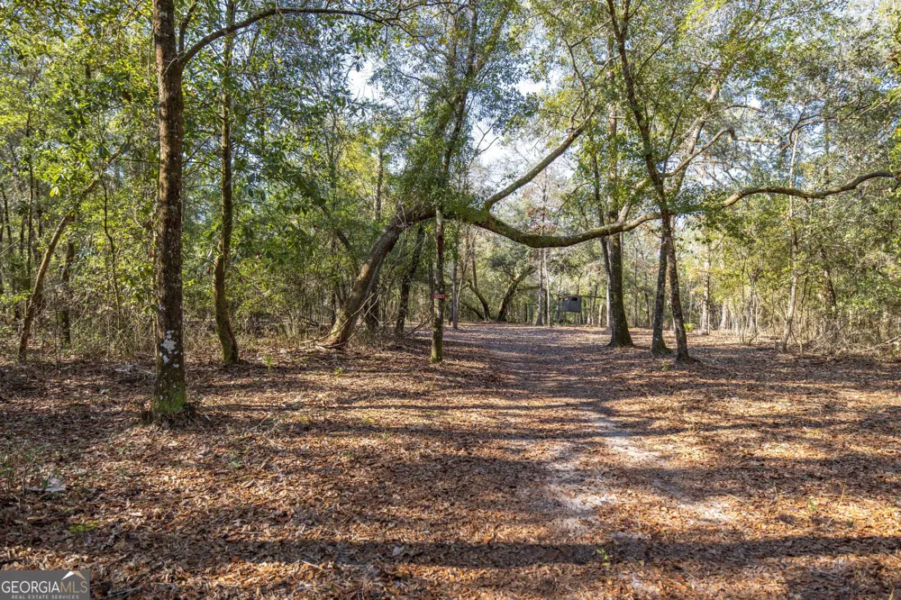279 Mid River RD White Oak, GA 31568