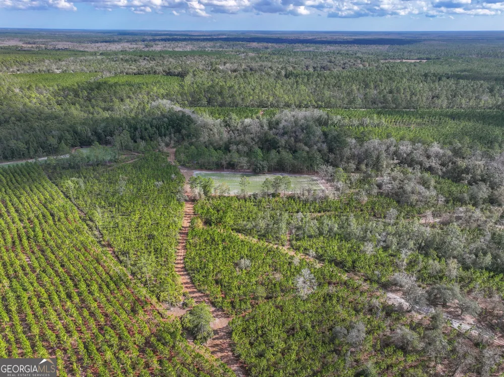 279 Mid River RD White Oak, GA 31568
