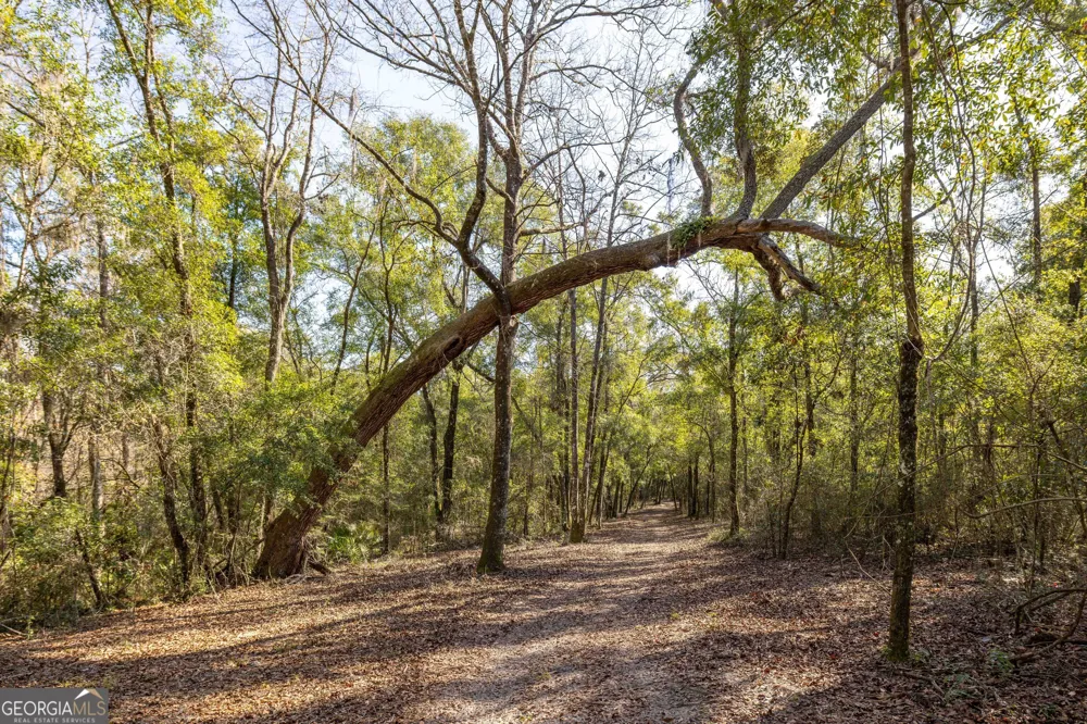 279 Mid River RD White Oak, GA 31568