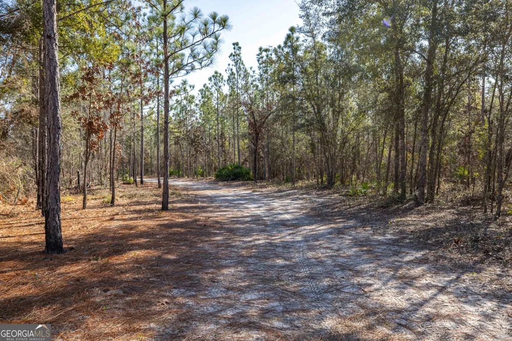 279 Mid River RD White Oak, GA 31568