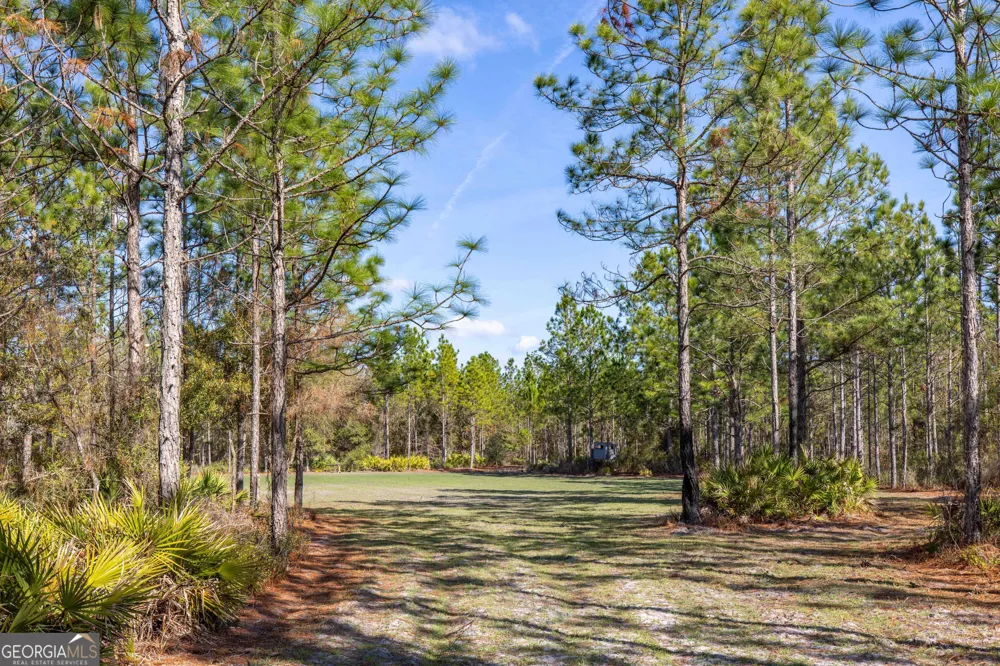 279 Mid River RD White Oak, GA 31568