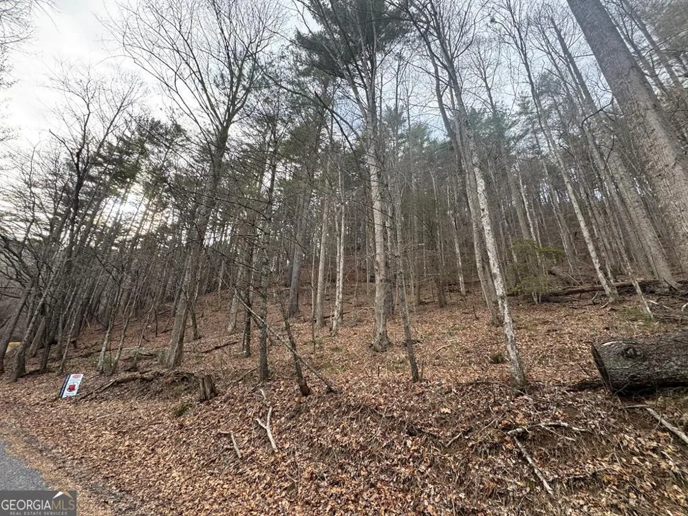 14092 Big Creek RD Cherry Log, GA 30522