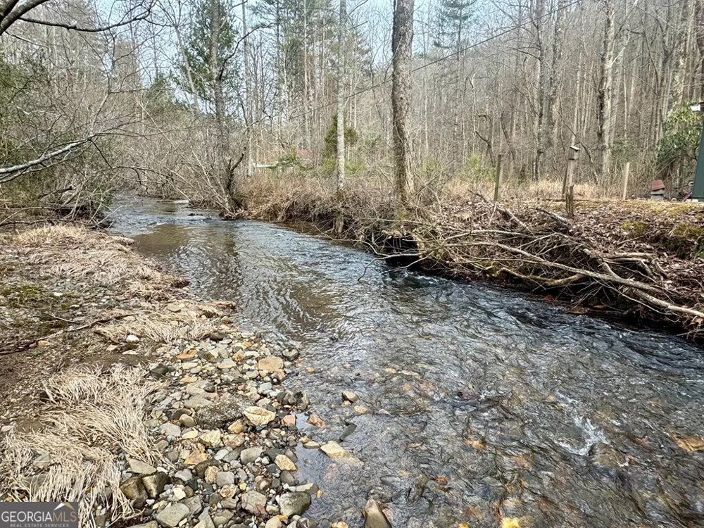 14092 Big Creek RD Cherry Log, GA 30522