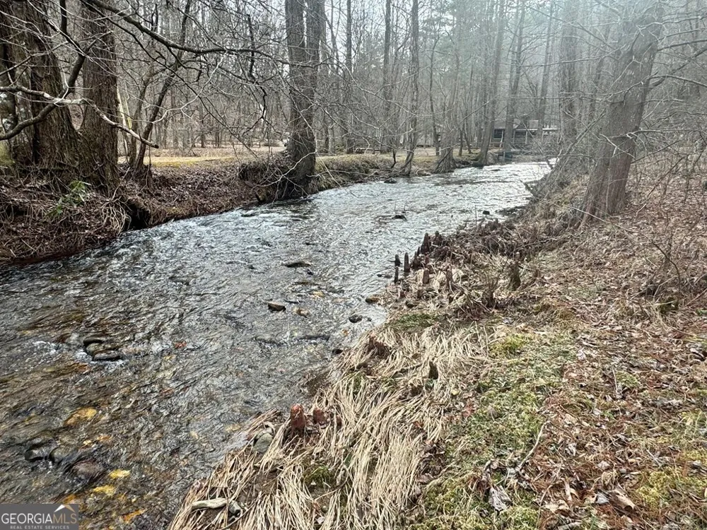 14092 Big Creek RD Cherry Log, GA 30522
