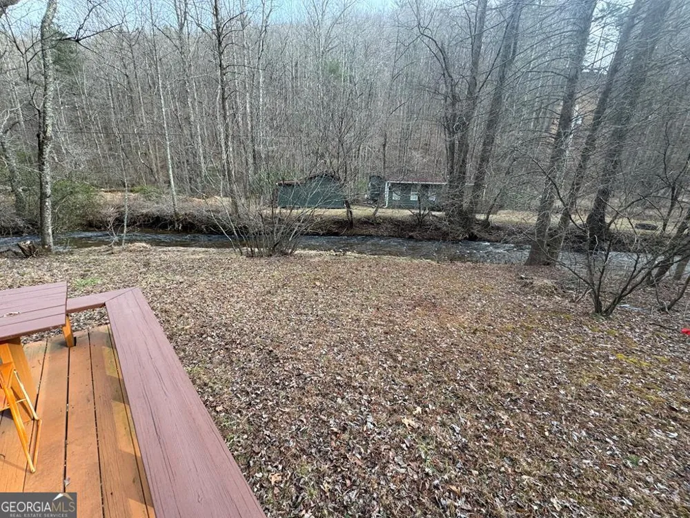 14092 Big Creek RD Cherry Log, GA 30522