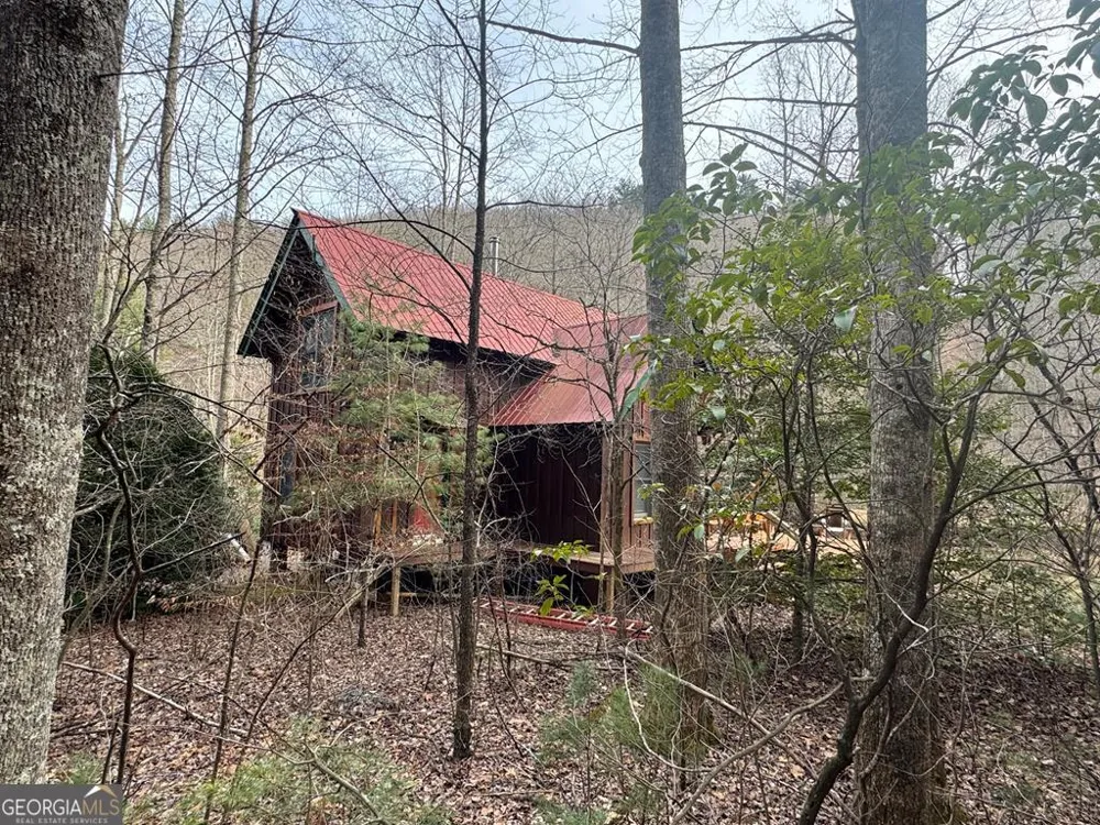 14092 Big Creek RD Cherry Log, GA 30522
