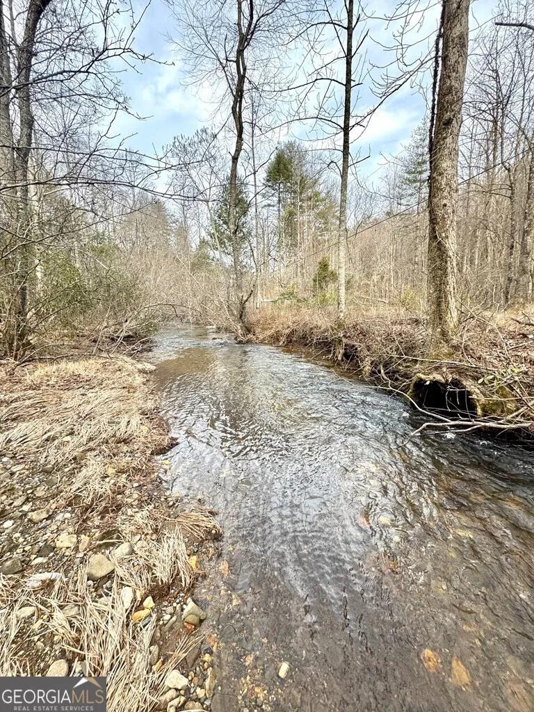 14092 Big Creek RD Cherry Log, GA 30522