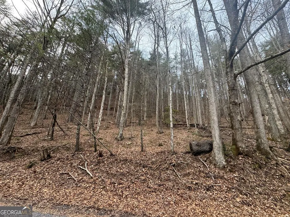 14092 Big Creek RD Cherry Log, GA 30522