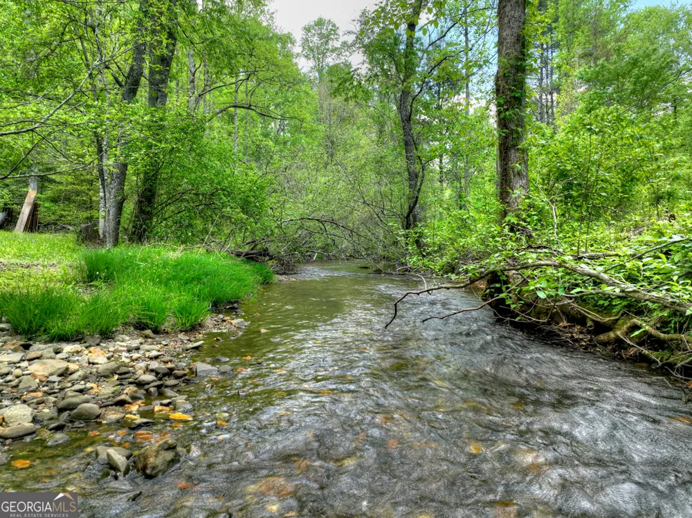 14092 Big Creek RD Cherry Log, GA 30522