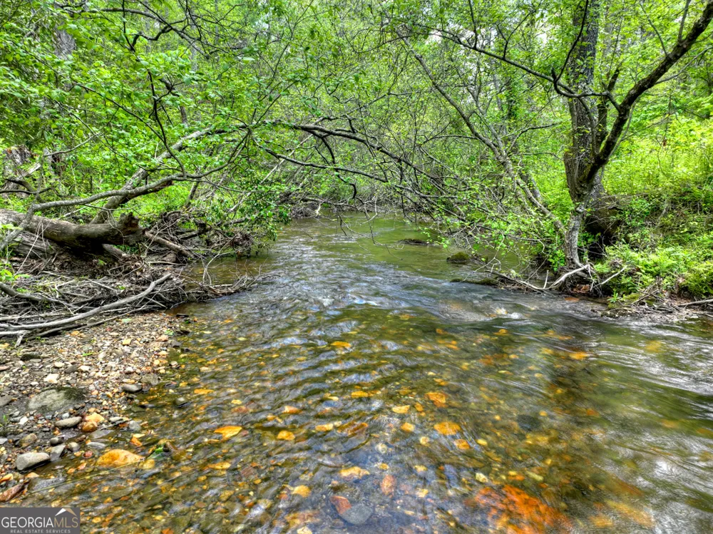 14092 Big Creek RD Cherry Log, GA 30522