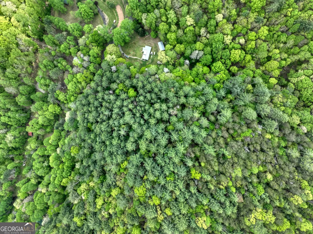 14092 Big Creek RD Cherry Log, GA 30522