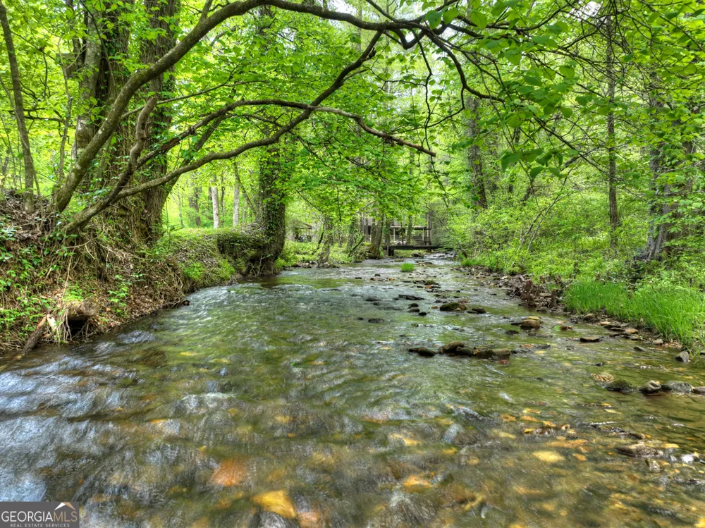 14092 Big Creek RD Cherry Log, GA 30522