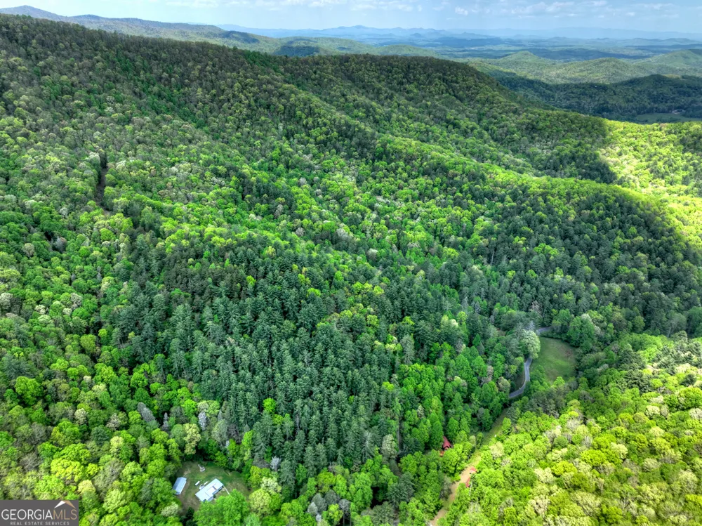 14092 Big Creek RD Cherry Log, GA 30522