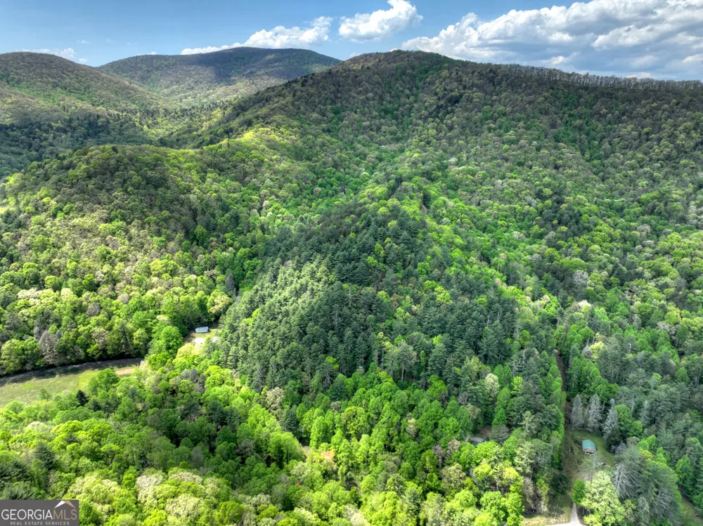 14092 Big Creek RD Cherry Log, GA 30522