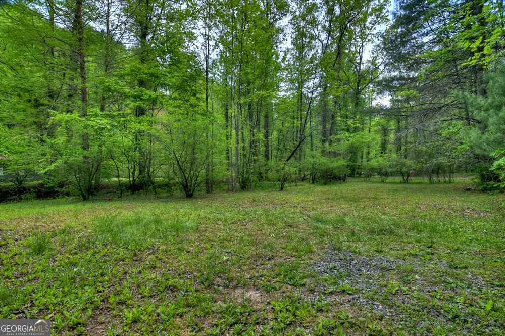 14092 Big Creek RD Cherry Log, GA 30522