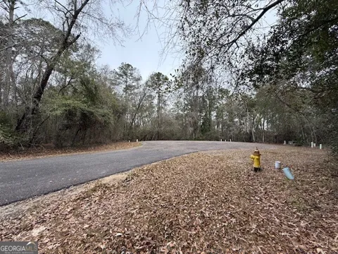 V/L 40 Satilla River Landing