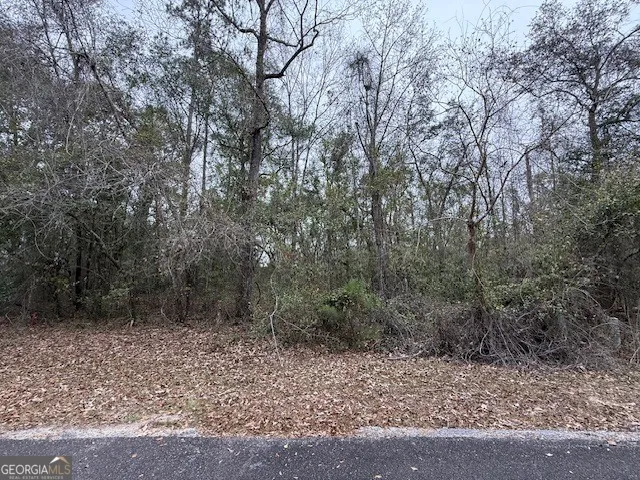 V/L 40 Satilla River Landing Woodbine, GA 31569