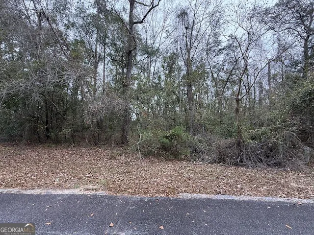 V/L 40 Satilla River Landing Woodbine, GA 31569