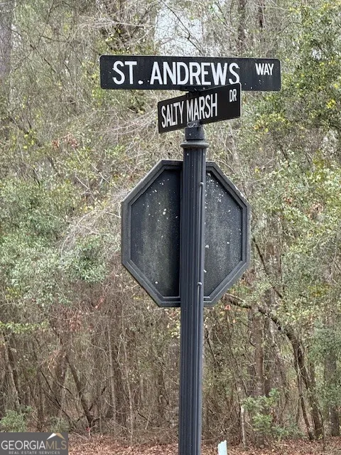 V/L 40 Satilla River Landing Woodbine, GA 31569