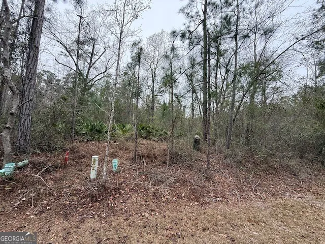 V/L 104 Satilla River Landing Woodbine, GA 31569