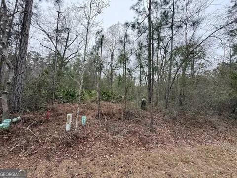 V/L 104 Satilla River Landing