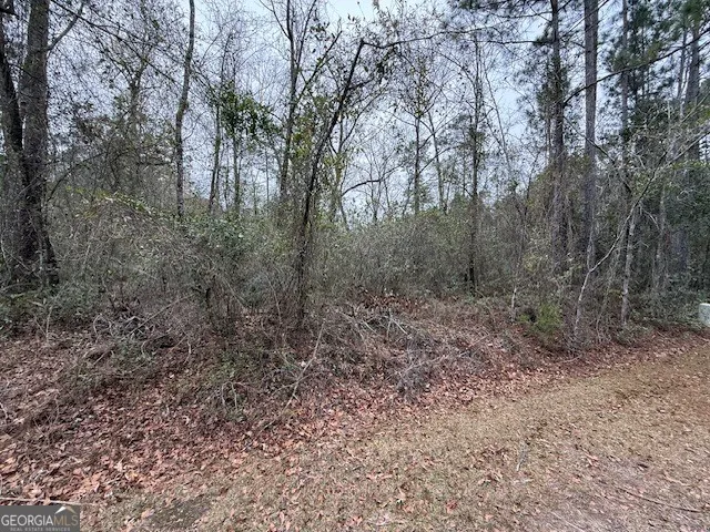 V/L 104 Satilla River Landing Woodbine, GA 31569