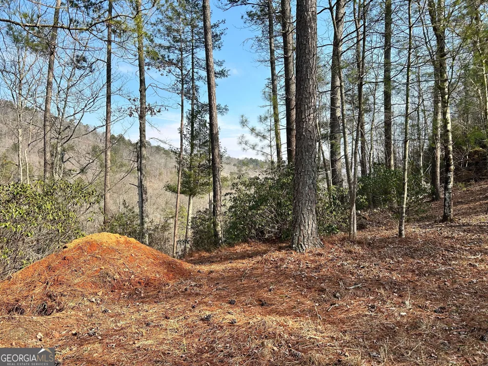 436 Meadow LN Talking Rock, GA 30175