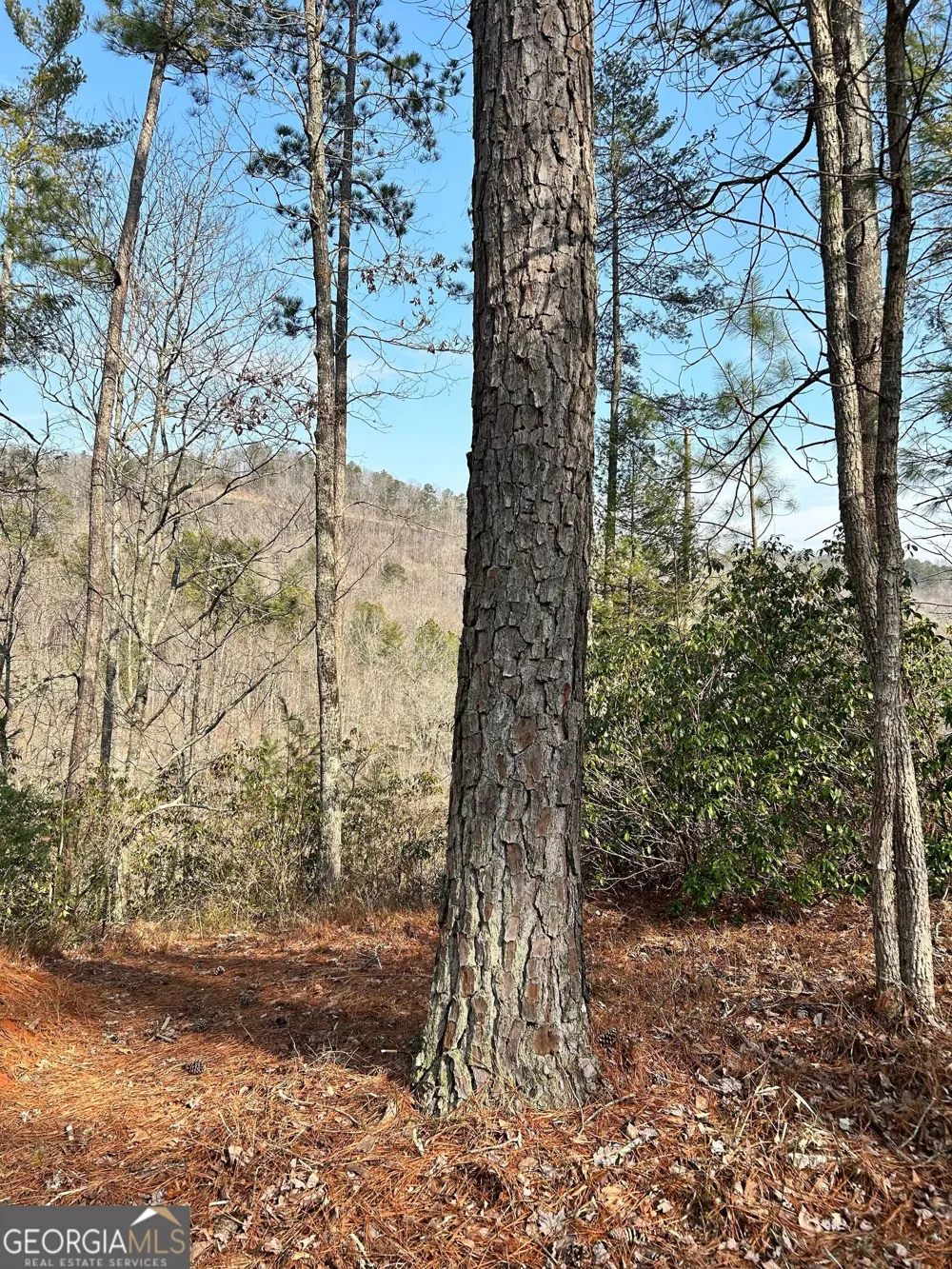 436 Meadow LN Talking Rock, GA 30175