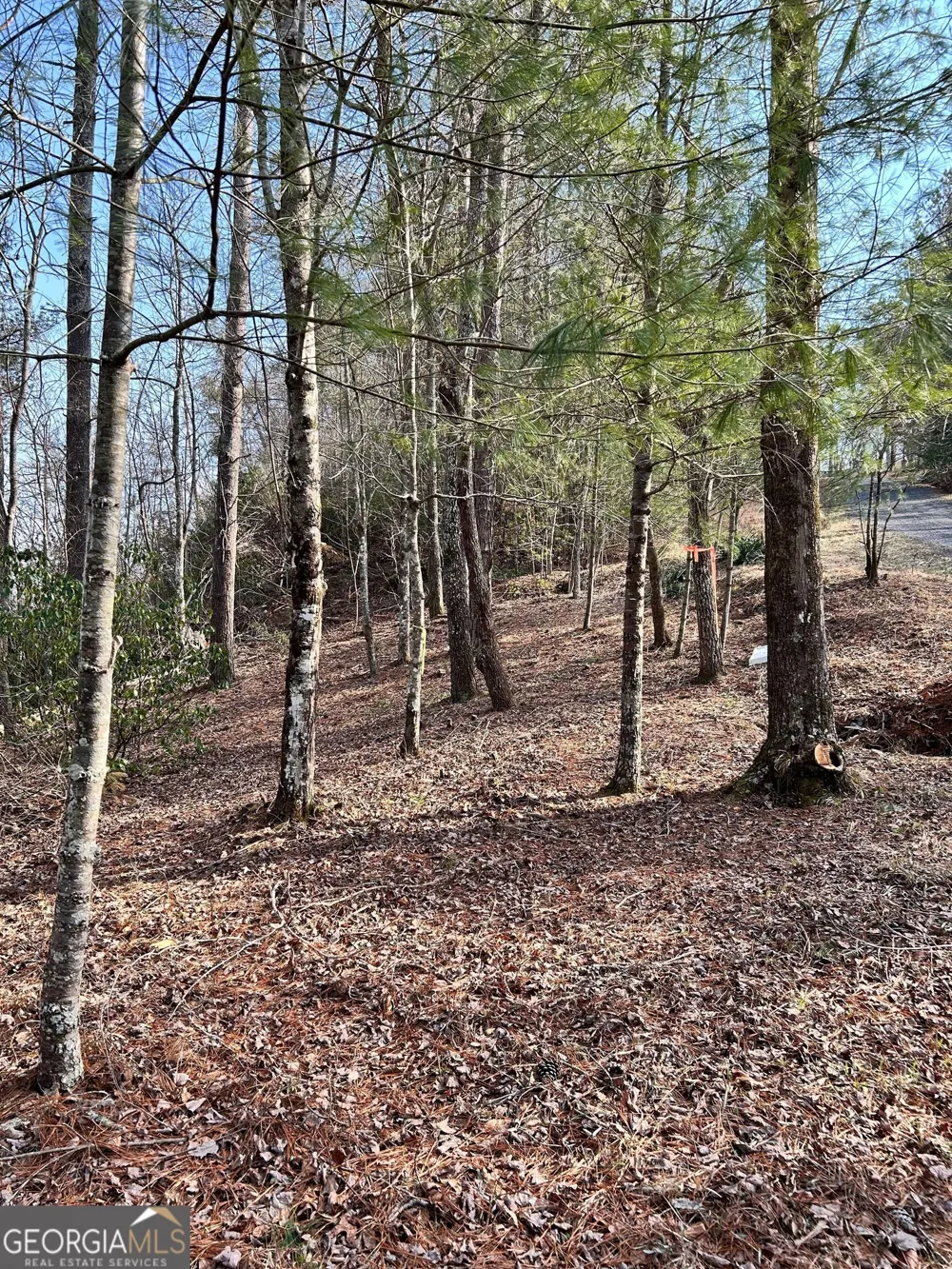 436 Meadow LN Talking Rock, GA 30175