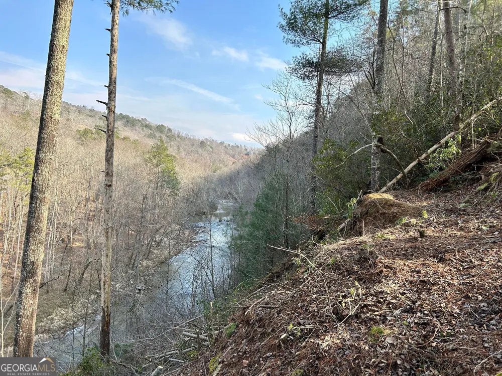 436 Meadow LN Talking Rock, GA 30175