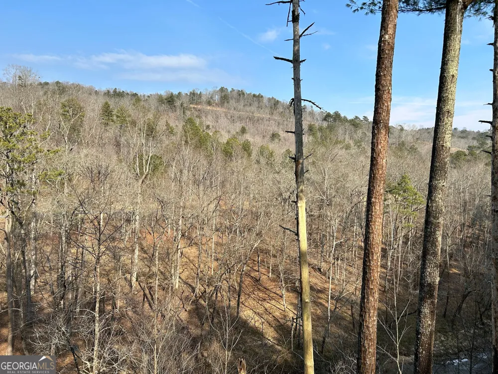 436 Meadow LN Talking Rock, GA 30175