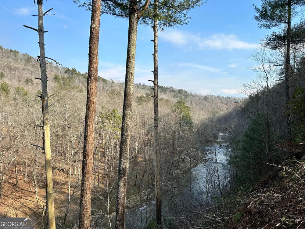 436 Meadow LN Talking Rock, GA 30175