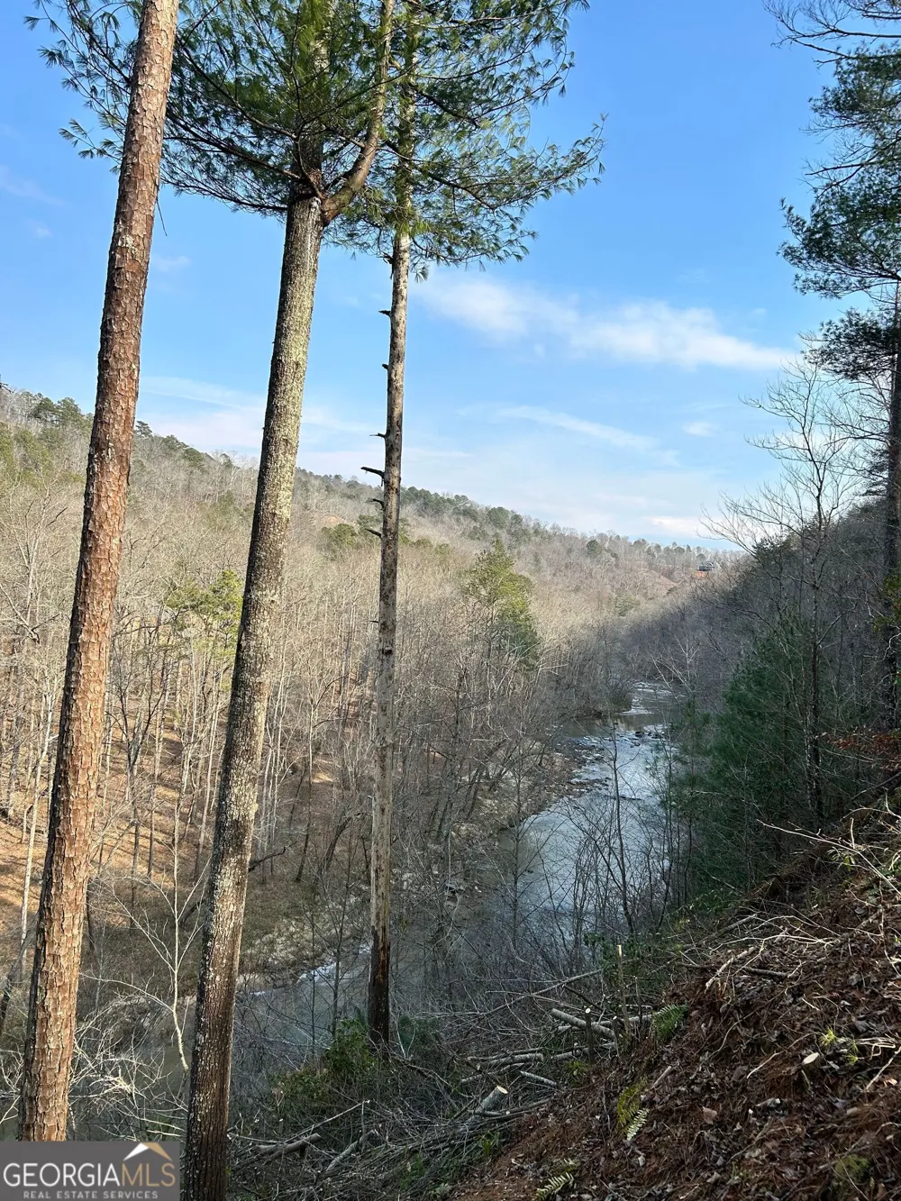 436 Meadow LN Talking Rock, GA 30175