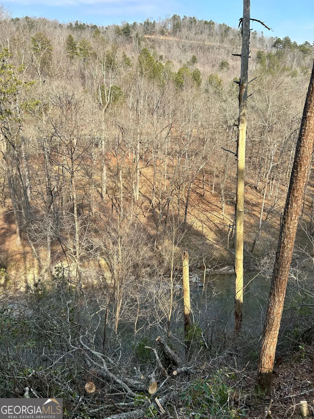 436 Meadow LN Talking Rock, GA 30175